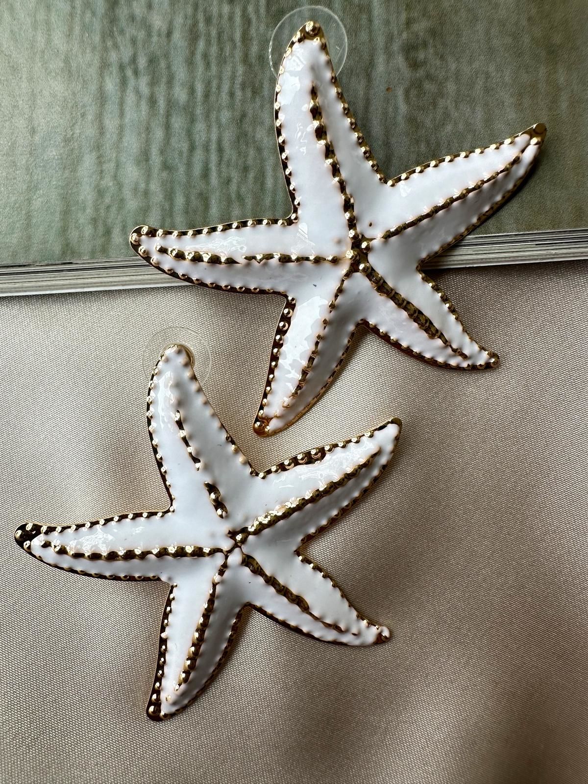 Marka Model Deniz Yıldızı Küpe