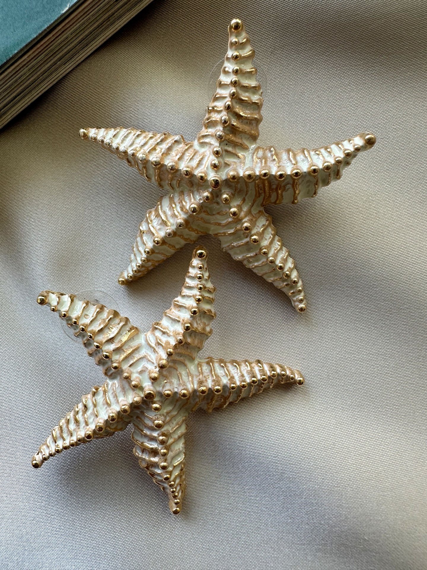 Marka Model Deniz Yıldızı Küpe