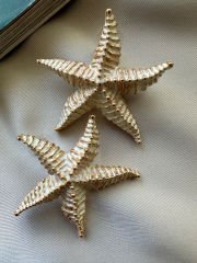 Marka Model Deniz Yıldızı Küpe