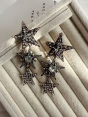 Marka Model Yıldız Küpe